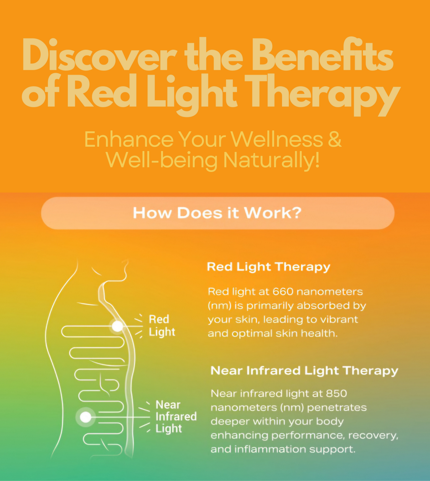 £27.50 for 15 minutes Red Light and Near-Infrared Therapy